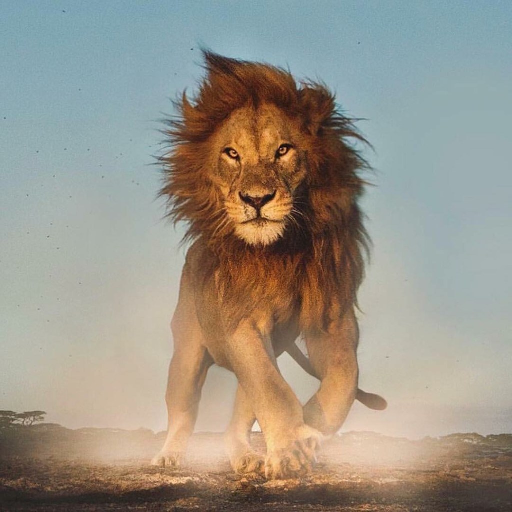 “I AM COMING!” (Lion of Judah) I saw Jesus return&nbsp;2014